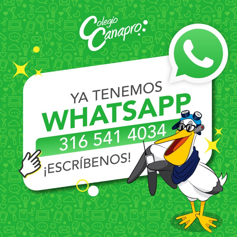 WhatsApp Image 2020-09-23 at 13.50.02