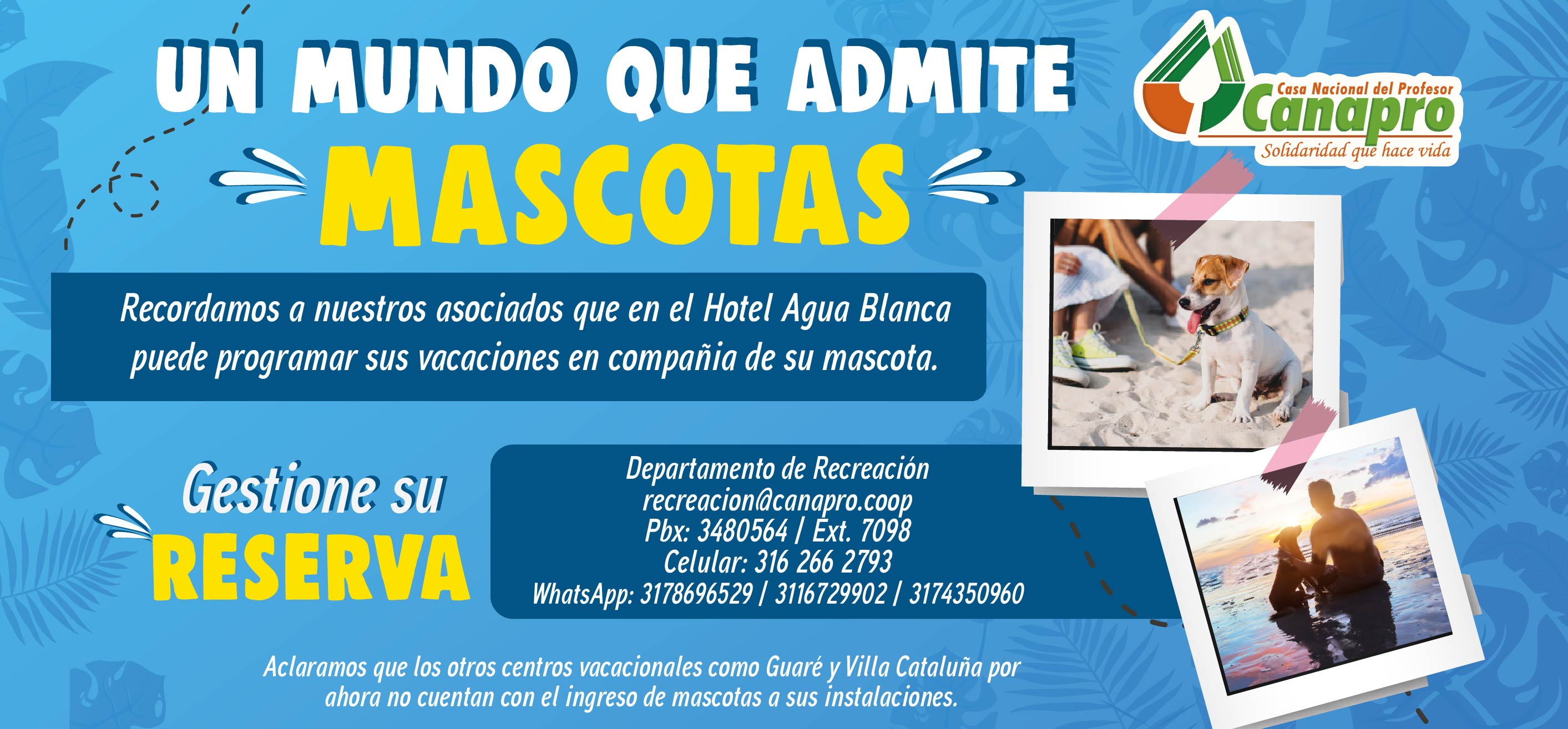 Diseños Recreación Mascotas Pagina-05